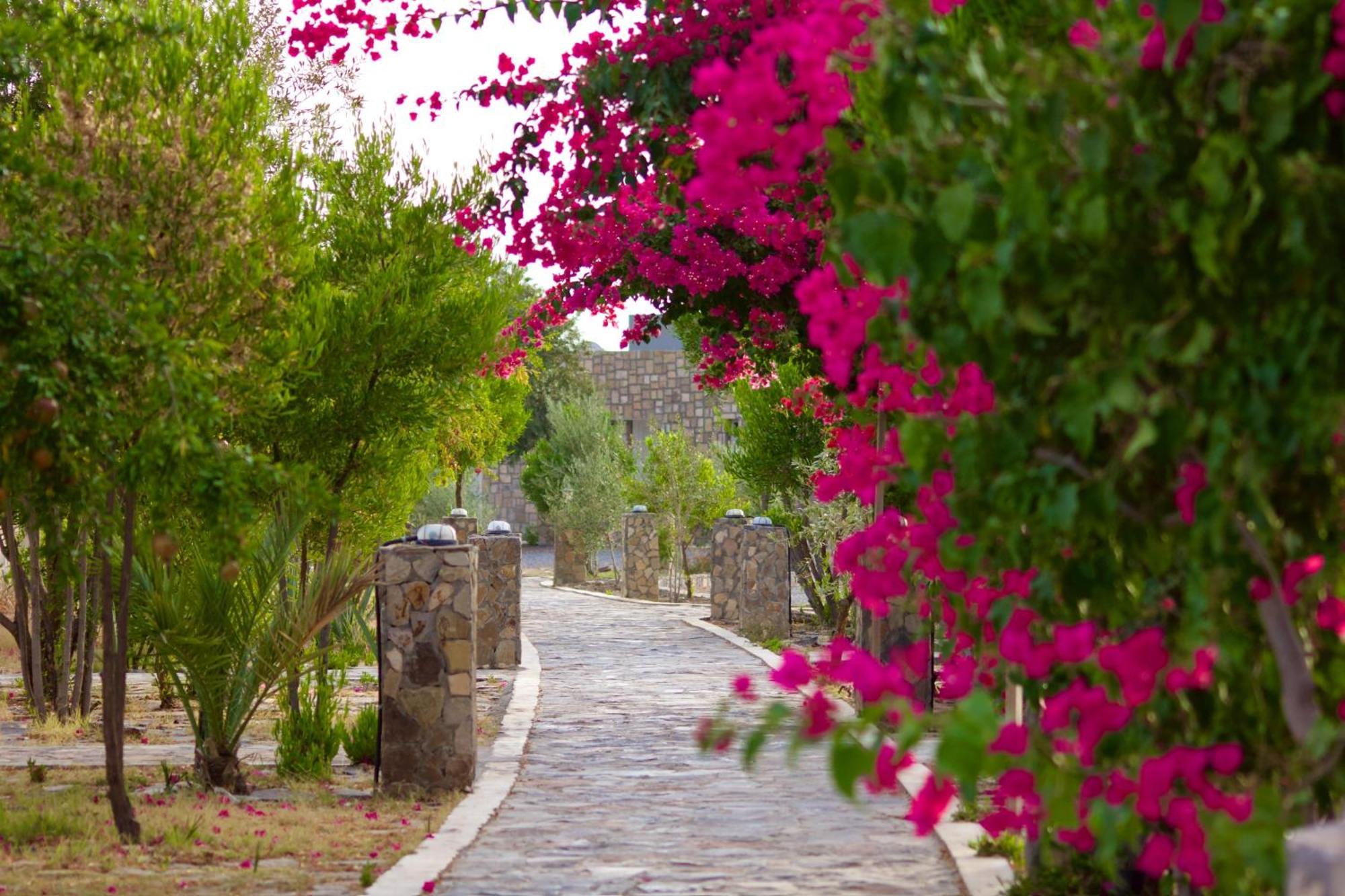 Hotel Jebel Shams جبل شمس Dar Sawda