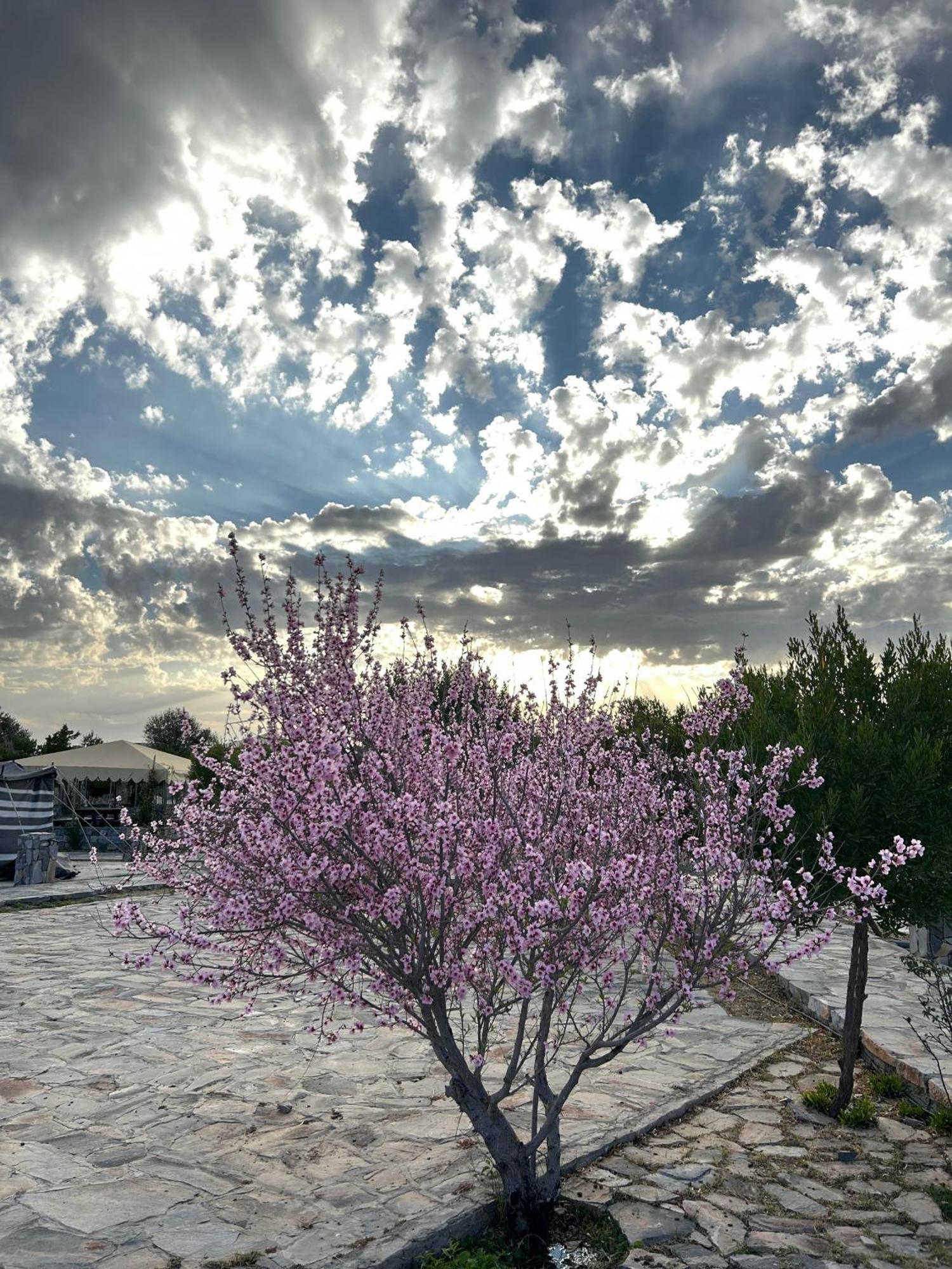 Jebel Shams جبل شمس